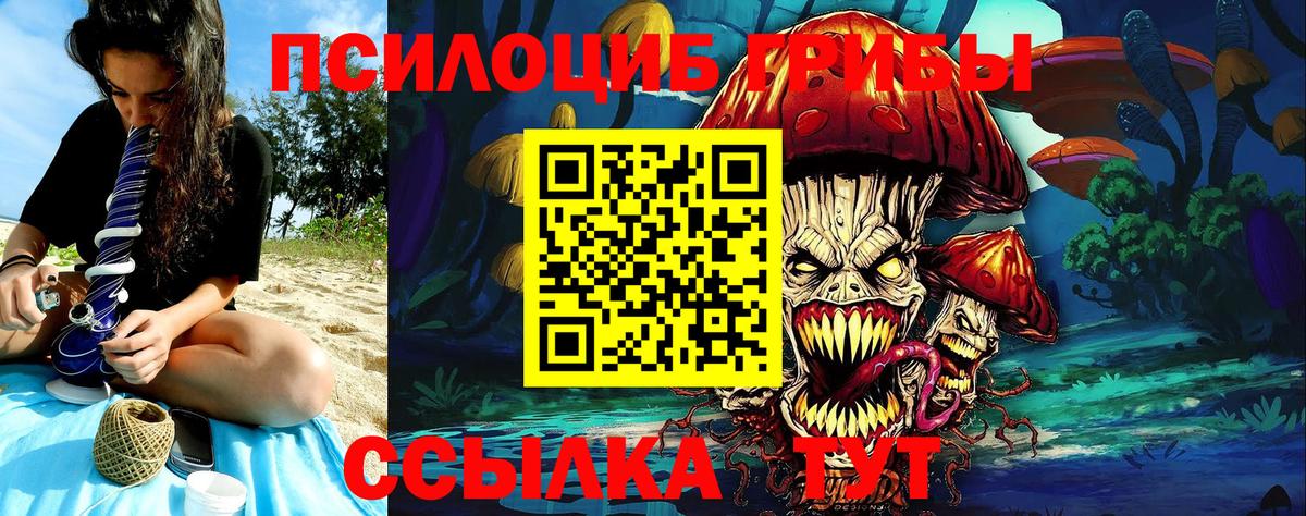 где купить   Галлюциногенные грибы прущие грибы  Вход с VPN  Псилоцибиновые грибы MAGIC MUSHROOMS  Сызрань 
